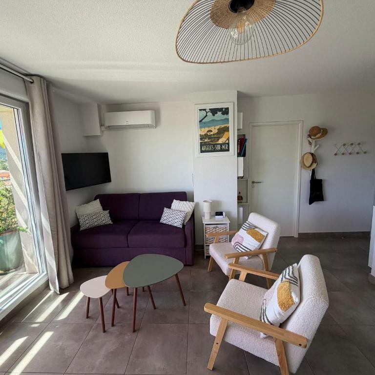 Appartement T3 avec grande terrasse et vue sur les Albères - FR-1-732-85 - Apartment - 18