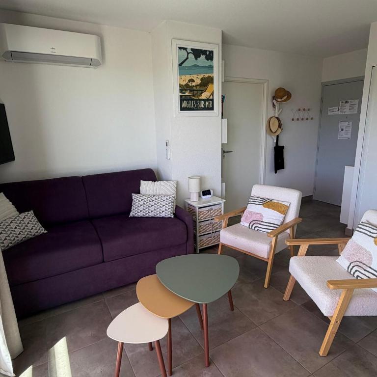 Appartement T3 avec grande terrasse et vue sur les Albères - FR-1-732-85 - Apartment - 19