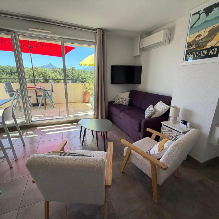 Appartement T3 avec grande terrasse et vue sur les Albères - FR-1-732-85 - Apartment - 20