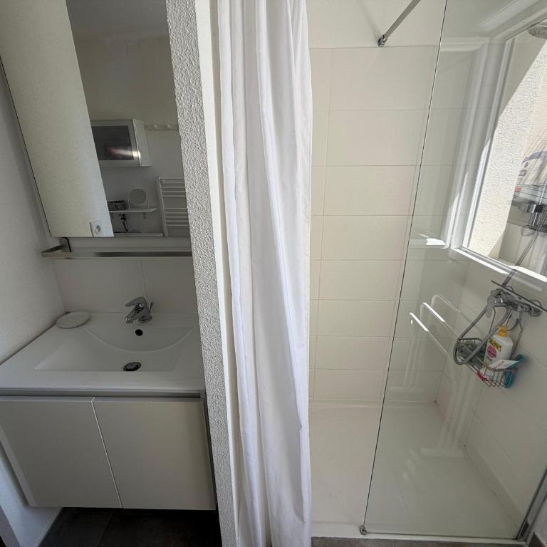 Appartement T3 avec grande terrasse et vue sur les Albères - FR-1-732-85 - Apartment - 29