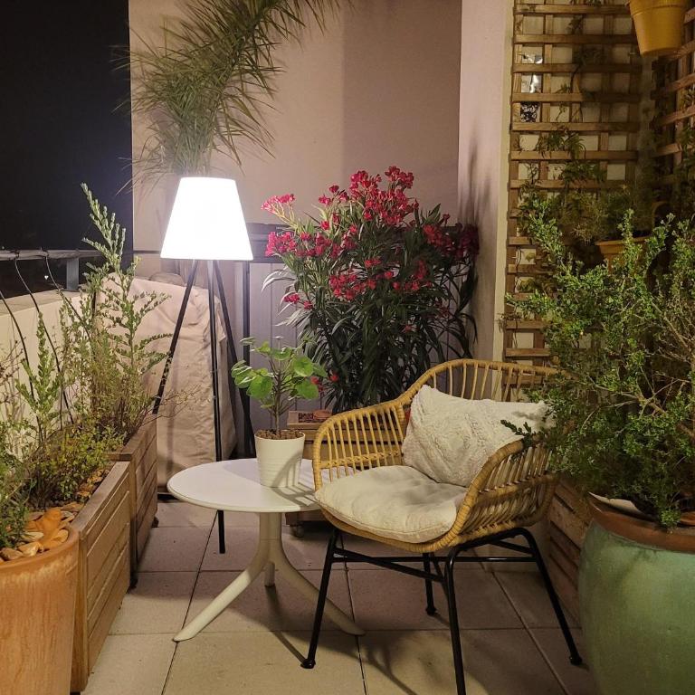 Appartement T3 avec grande terrasse et vue sur les Albères - FR-1-732-85 - Apartment - 35