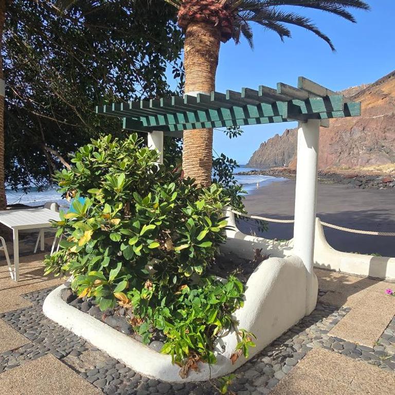 Seaview Apartment, Playa Chica, Las Gaviotas, Apartamento 311 - Two-Bedroom Apartment - 5