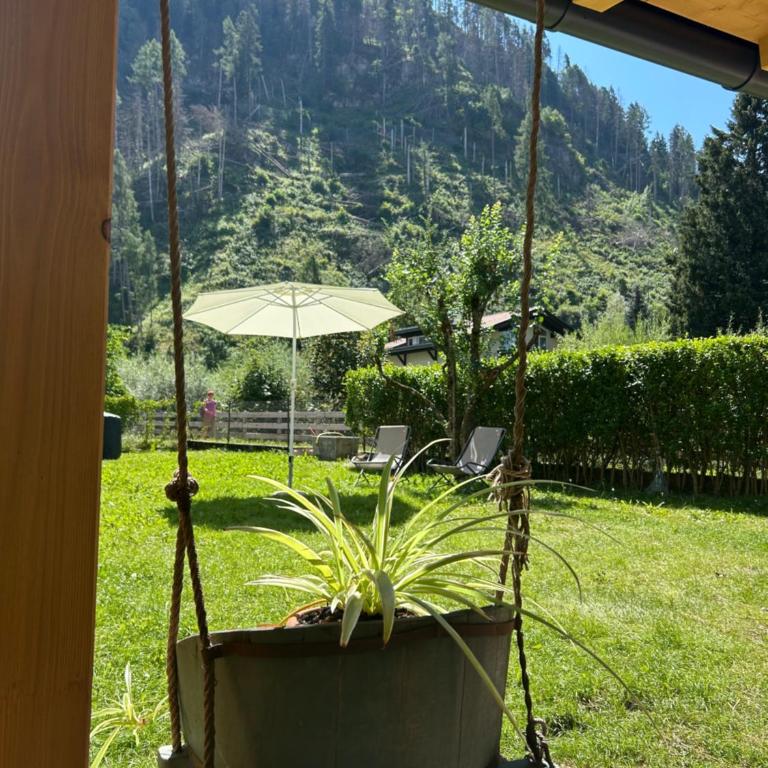 B&B Te Nìf - Camera King con Vista Giardino - 1