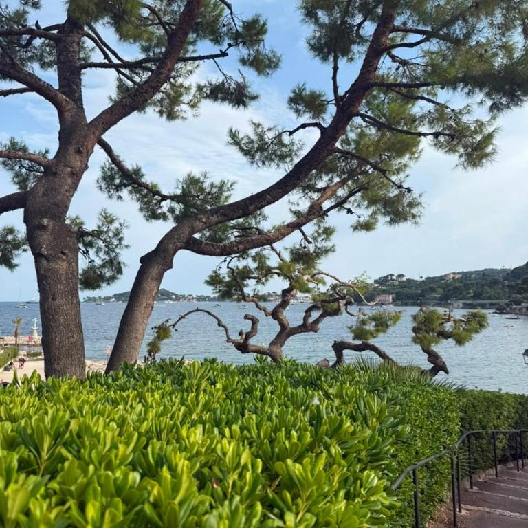 Appartement 3 chambres avec terrasse Beaulieu sur Mer - Appartamento con 3 Camere da Letto - 4