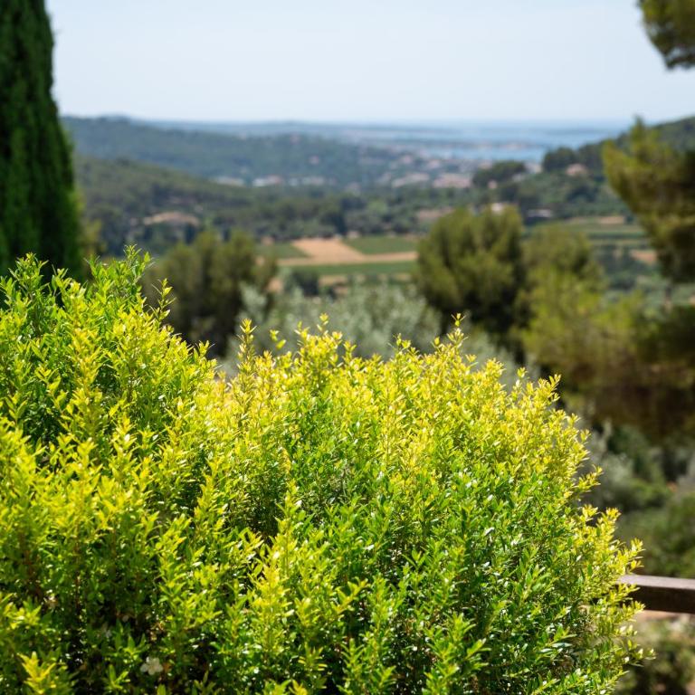 Villa La Belle Bleue, Piscine Chauffée, Vue Mer, Sanary-sur-Mer proche Bandol - Villa con vistas al mar - 50