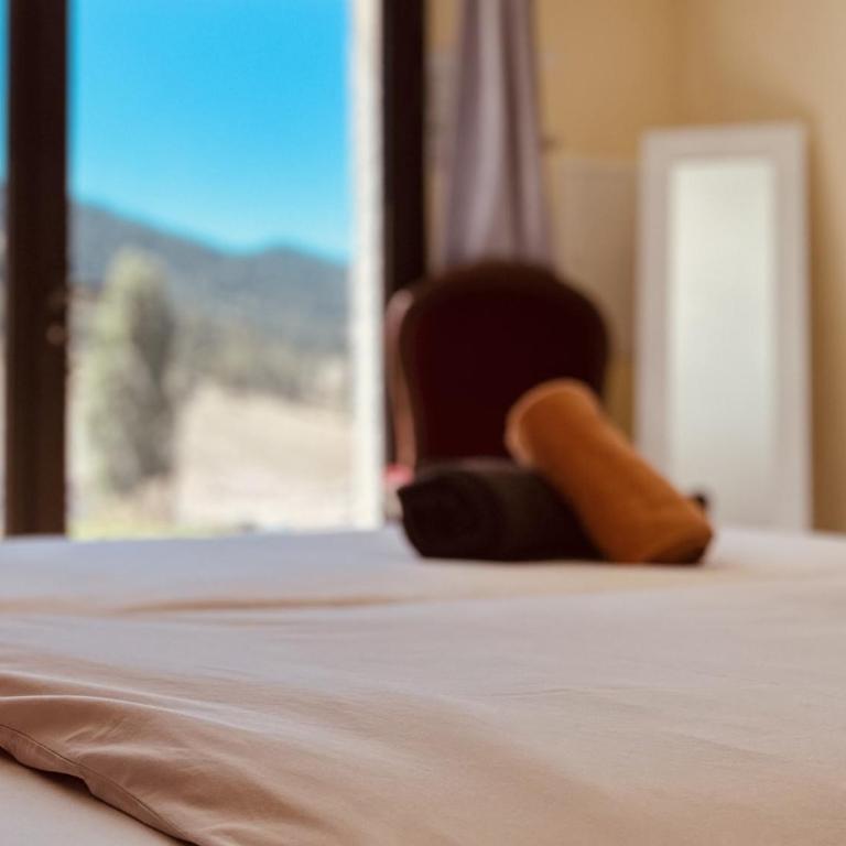 Auberge Alpina - Chambre Familiale Adaptée aux Personnes à Mobilité Réduite - 4