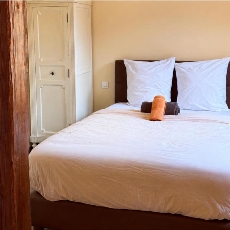 Auberge Alpina - Chambre Double - Vue sur Montagne - 1