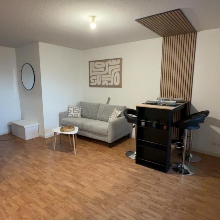 Logement lourdes avec terrasse et parking - Apartment mit 1 Schlafzimmer - 1