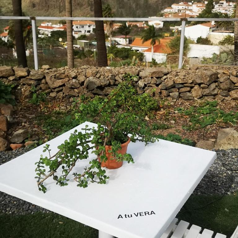 A tu Vera - Casa con 1 dormitorio - 17