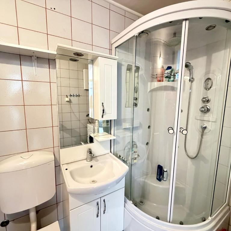 Aster Apartment Sarajevo - Apartman sa 1 Spavaćom Sobom - 8