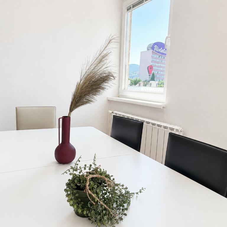 Aster Apartment Sarajevo - Apartman sa 1 Spavaćom Sobom - 10