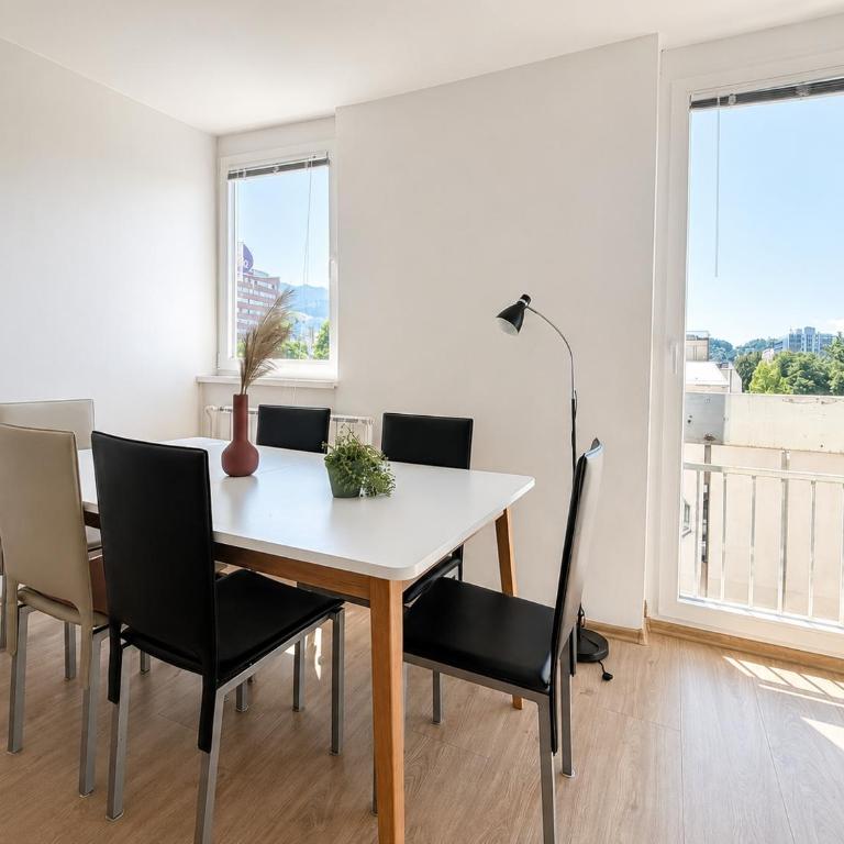 Aster Apartment Sarajevo - Apartman sa 1 Spavaćom Sobom - 3