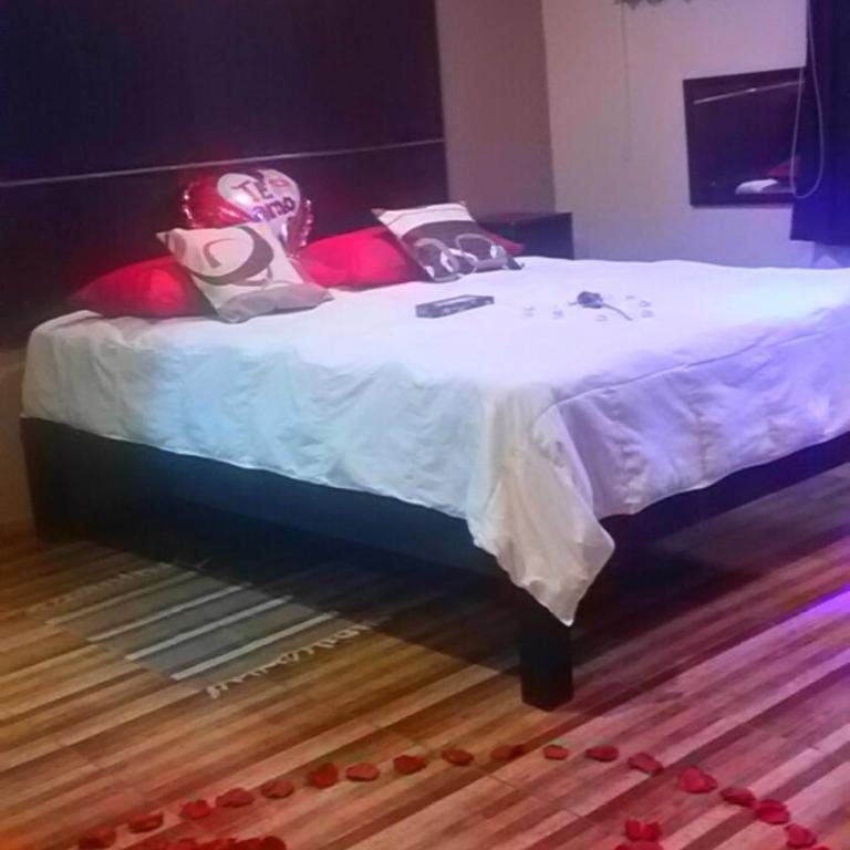 HsVitAQP - Suite - 7