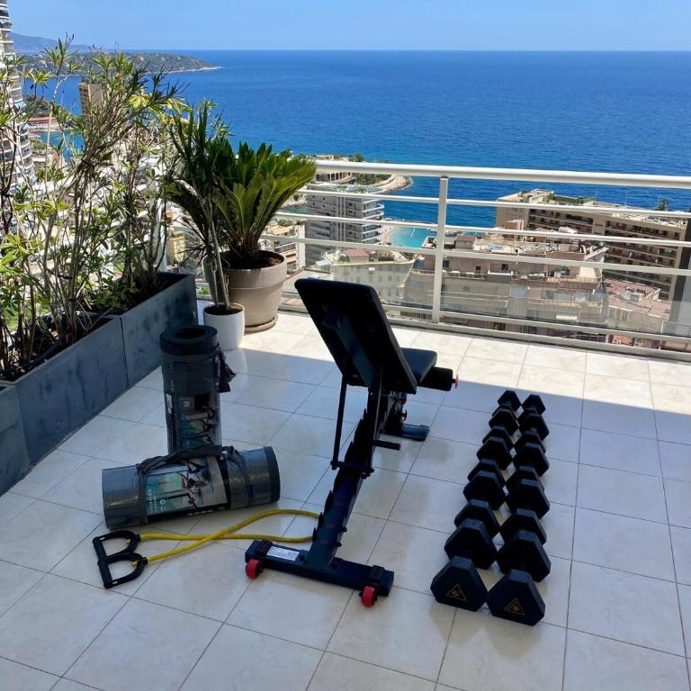 Exclusive penthouse Monaco - Appartement 3 Chambres - 12