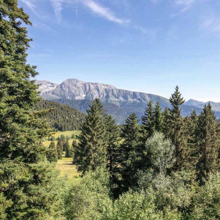 V du Bachat Sorbiers E N21 - 3P7 - Appartement - 11