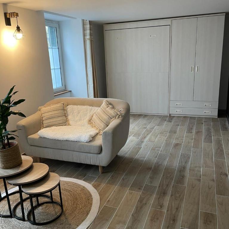 Le studio du Théâtre - Appartement - 19