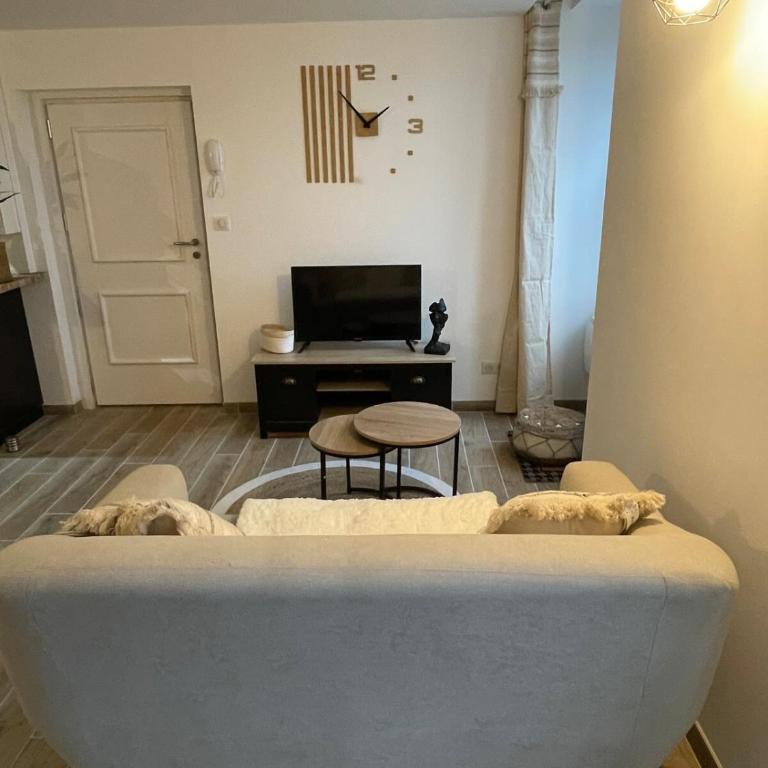 Le studio du Théâtre - Appartement - 24