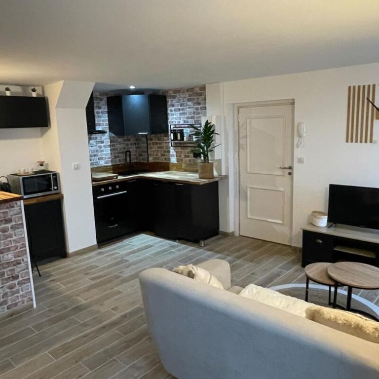 Le studio du Théâtre - Appartement - 25