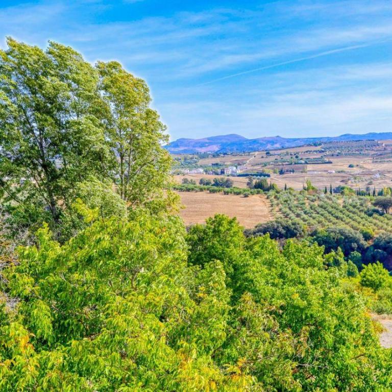 La Fresnea Ronda by Ruralidays - Three-Bedroom House - 30
