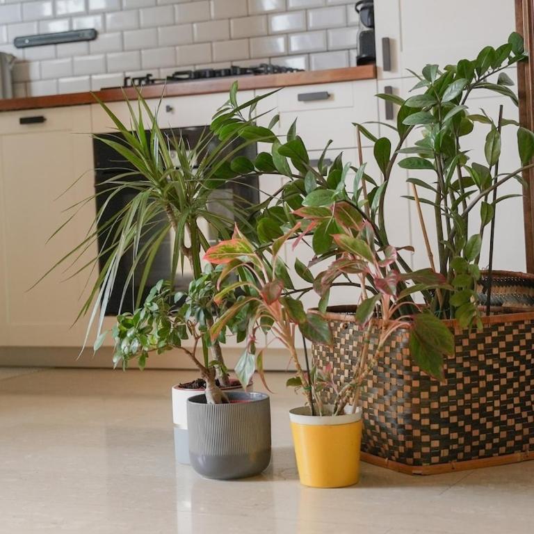 Green Balcony Apartment in Navigli - Two-Bedroom Apartment - 16