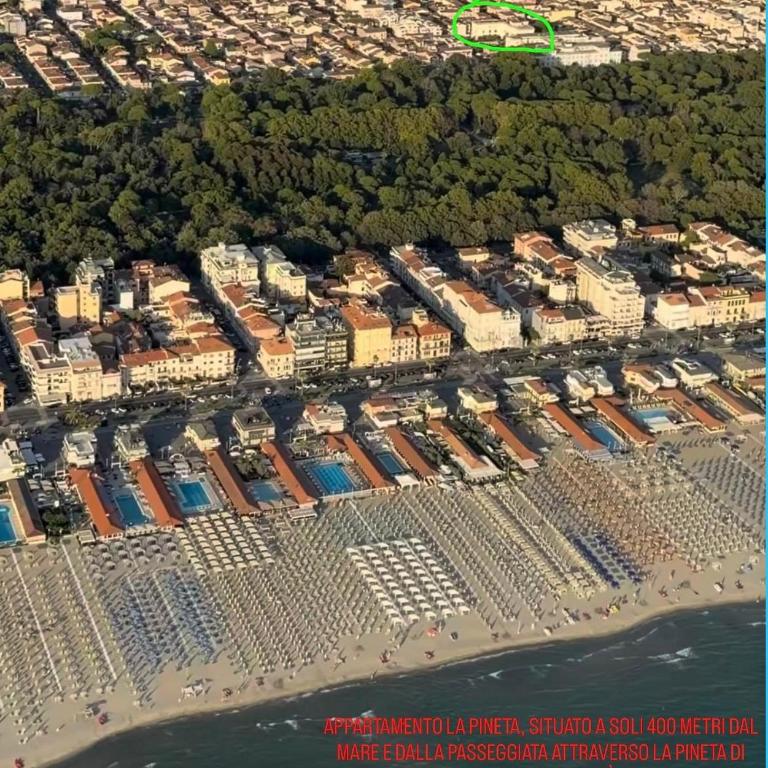 Appartamento La Pineta - Two-Bedroom Apartment - 4