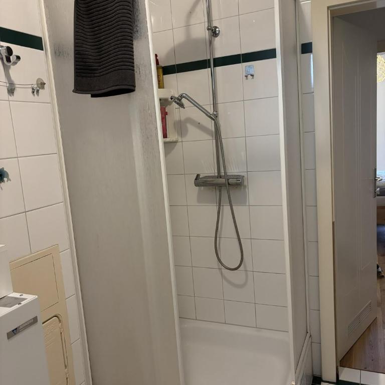 Gartenwohnung Bad Aussee - Appartement 1 Chambre avec Jardin - 12