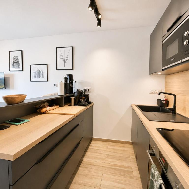 Appartement neuf proche piste avec parking et WIFI - Appartement 2 Chambres - 2