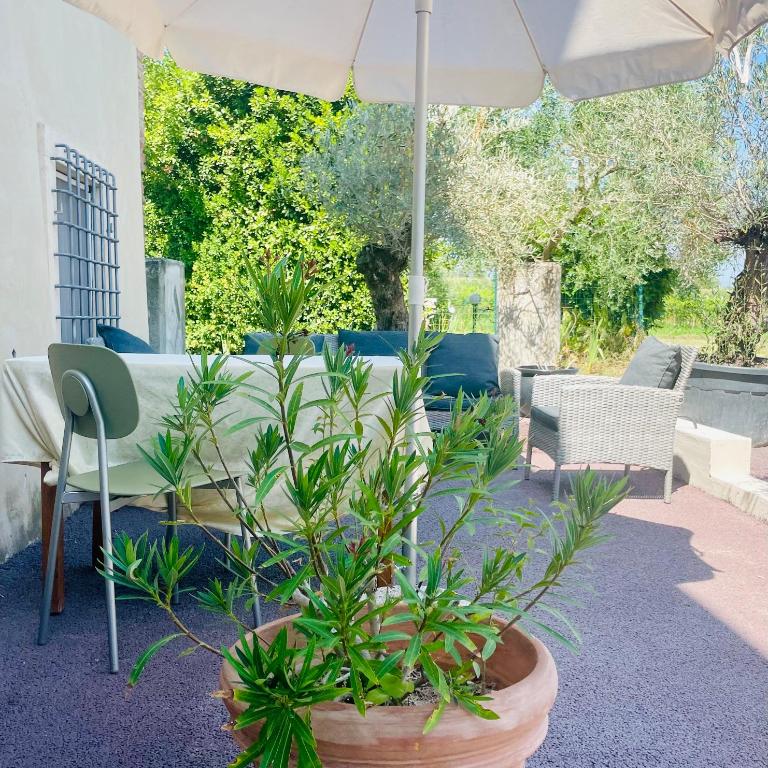 Residenza Cà Donzella - Appartamento con 1 Camera da Letto e Terrazza - 1