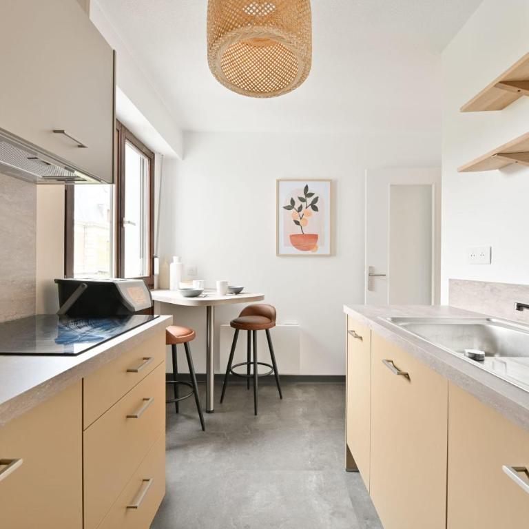 Les Romains Strasbourg T4 neuf - terrasse - ascensepetit parking inclus - Appartement - 18