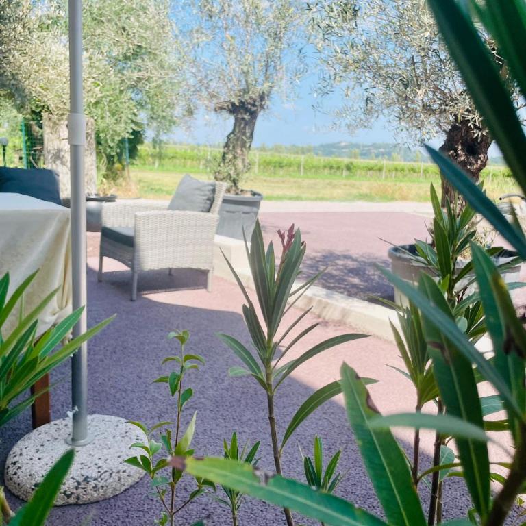 Residenza Cà Donzella - Appartamento con 1 Camera da Letto e Terrazza - 4