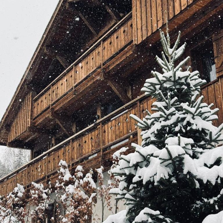MAISON DOMINOS Chalet de Luxe 5 chambres Vue MontBlanc ,Spa, Jacuzzi, Salle de sport - Chalet - 20