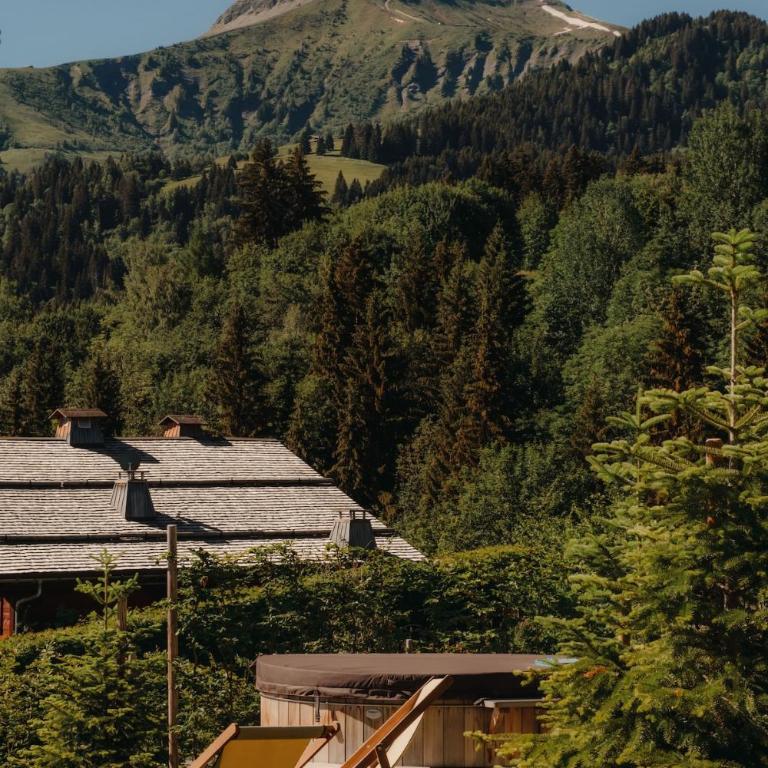 MAISON DOMINOS Chalet de Luxe 5 chambres Vue MontBlanc ,Spa, Jacuzzi, Salle de sport - Chalet - 22