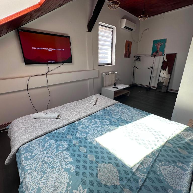 Sky Rooftop Center - Apartman sa 2 Spavaće Sobe - 9