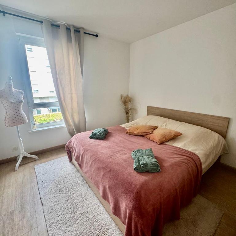 Élégant F2 avec grande terrasse - Appartamento con 1 Camera da Letto - 3