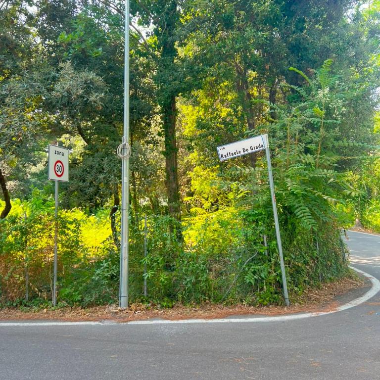 Villa Le Pigne Versilia - Casa con 4 camere da letto - 25