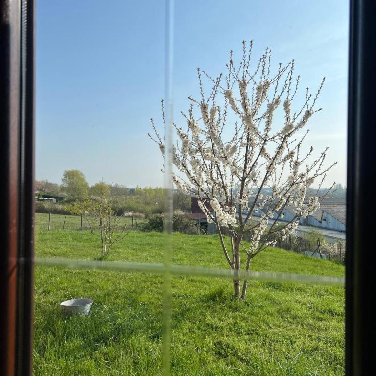 Villanna - Chambre Double - 8