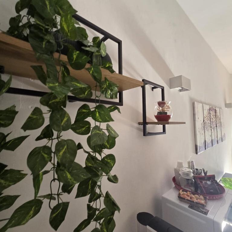 Alloggio per uso Turistico Capone Alessia - A DUE PASSI DAL CENTRO - Appartamento con 1 Camera da Letto - Non Fumatori - 11