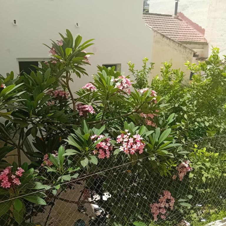 Casa La Victoria - Apartamento de 2 dormitorios - 6