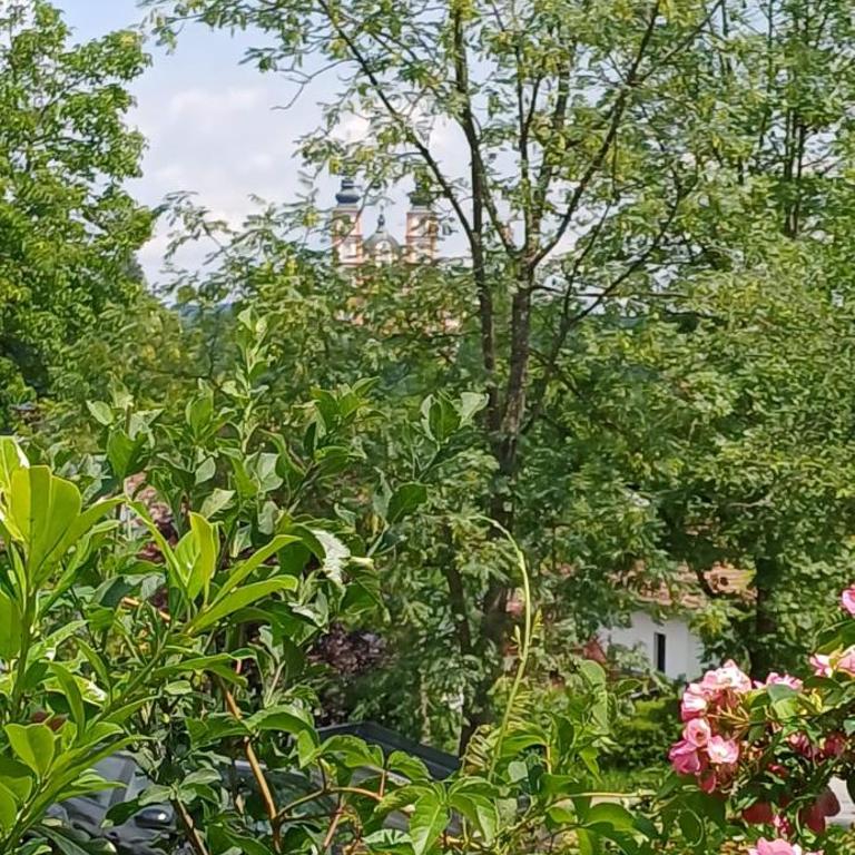 NEU! Wohnen & Erholen im wunderschönen Graz-Mariatrost - Apartment mit 1 Schlafzimmer - 15