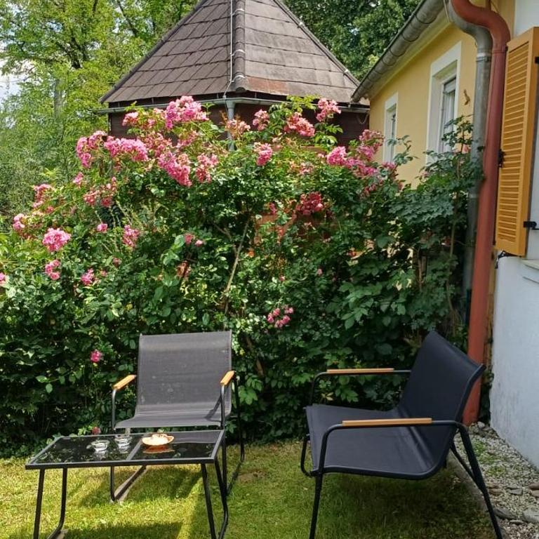 NEU! Wohnen & Erholen im wunderschönen Graz-Mariatrost - Apartment mit 1 Schlafzimmer - 16