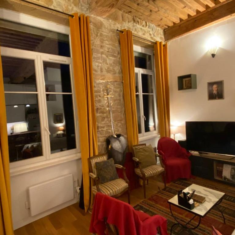 Elegant silk worker's apartment in Croix-Rousse - Apartment - 1
