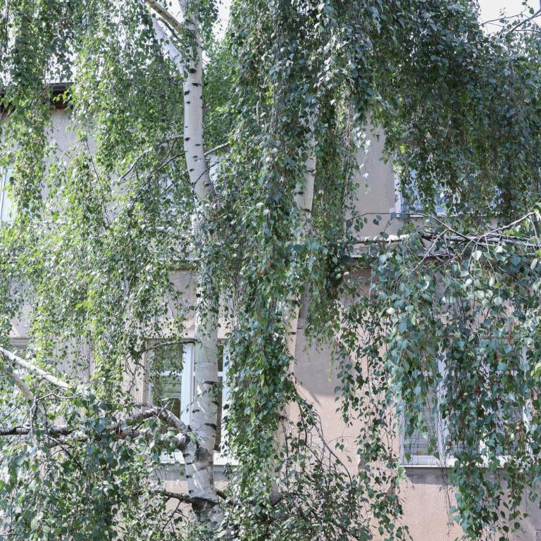 Sarajevo Stari Grad - Apartman sa 1 Spavaćom Sobom - 59