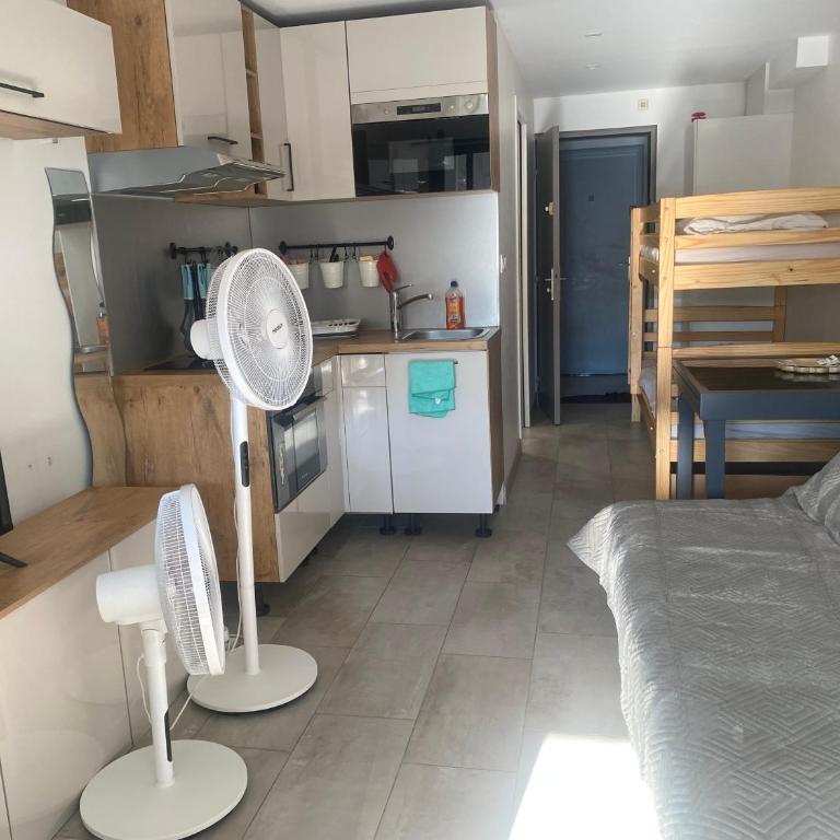 400 METRES DE LA PLAGE DU MÔLE APPARTEMENT LUMINEUX 6 COUCHAGES au CAP D AGDE - Appartement 1 Chambre - 11
