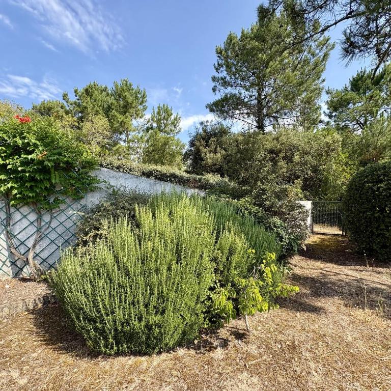 Charmante maison 6 pers. accès forêt, 600m plage, animaux admis - FR-1-323-582 - Maison de Vacances - 28
