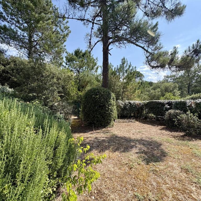 Charmante maison 6 pers. accès forêt, 600m plage, animaux admis - FR-1-323-582 - Maison de Vacances - 29