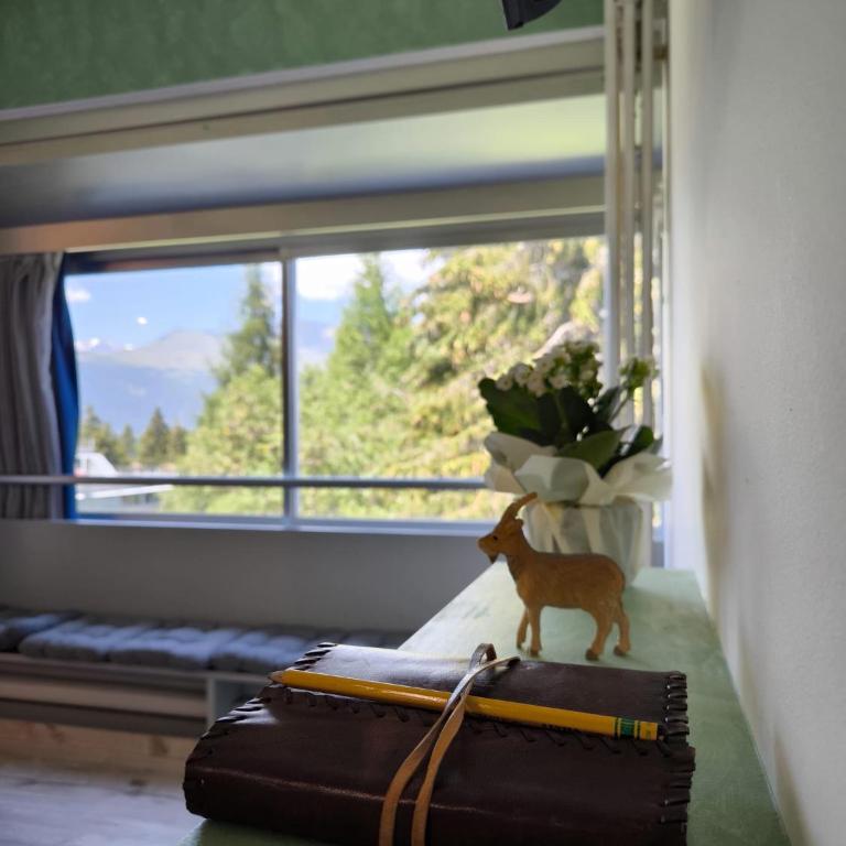Suite apartment Marilleva 2 bedroom private parking - Appartamento con 2 Camere da Letto - 4