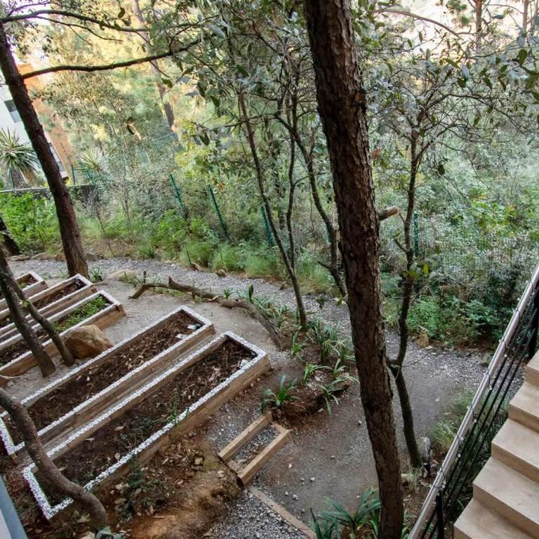 Architectural glass masterpiece villa in Avandaro Forest - Villa - 85
