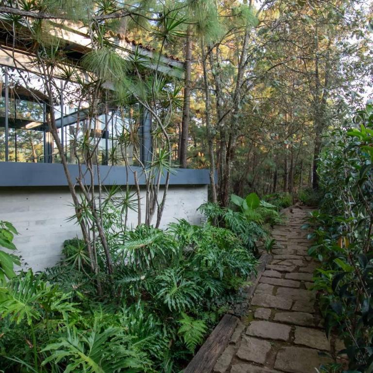 Architectural glass masterpiece villa in Avandaro Forest - Villa - 95