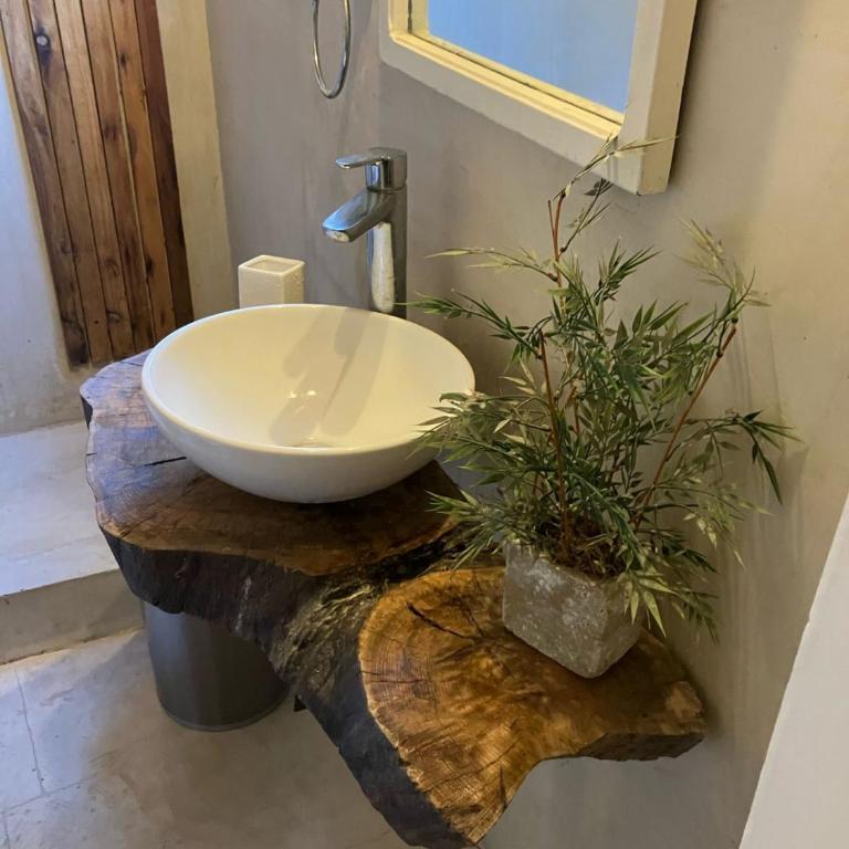 sabores de mi tierra - Apartamento de 1 dormitorio - 5