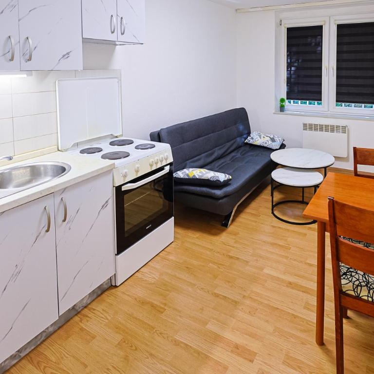 Lala Apartment Old Town Sarajevo - Apartman sa 1 Spavaćom Sobom - 1
